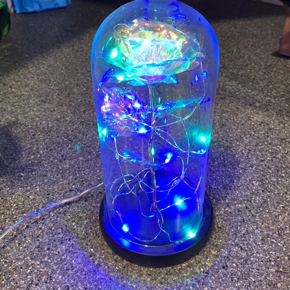 Other - Light up rose